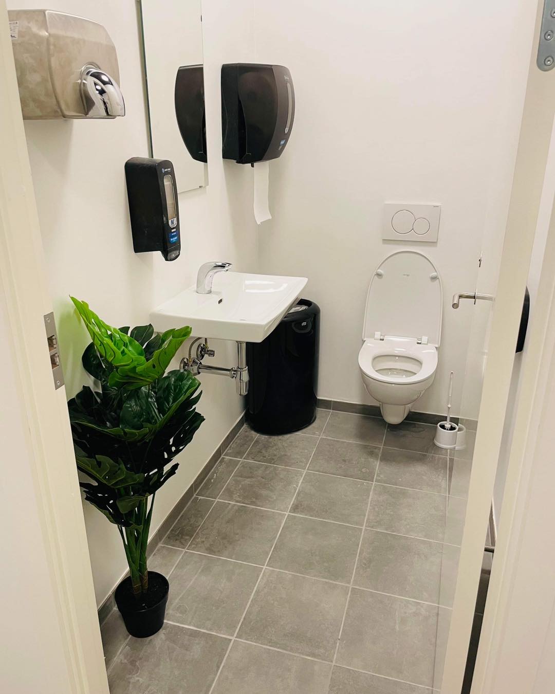 Rent badeværelse med håndvask, toilet og plante